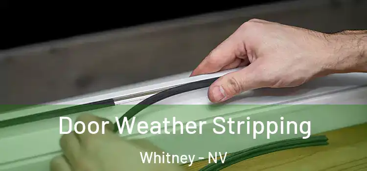 Door Weather Stripping Whitney - NV
