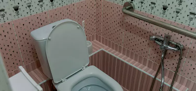 Meeting Diverse Needs With Accessible Restroom Solutions in Whitney, NV