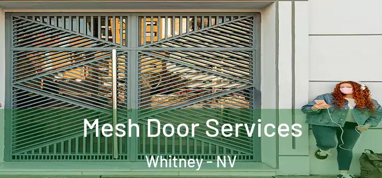 Mesh Door Services Whitney - NV