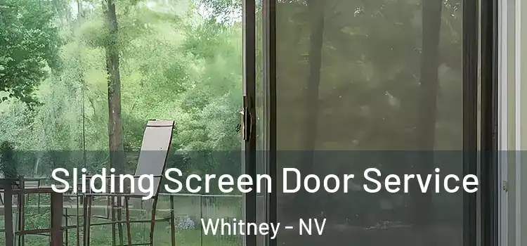 Sliding Screen Door Service Whitney - NV